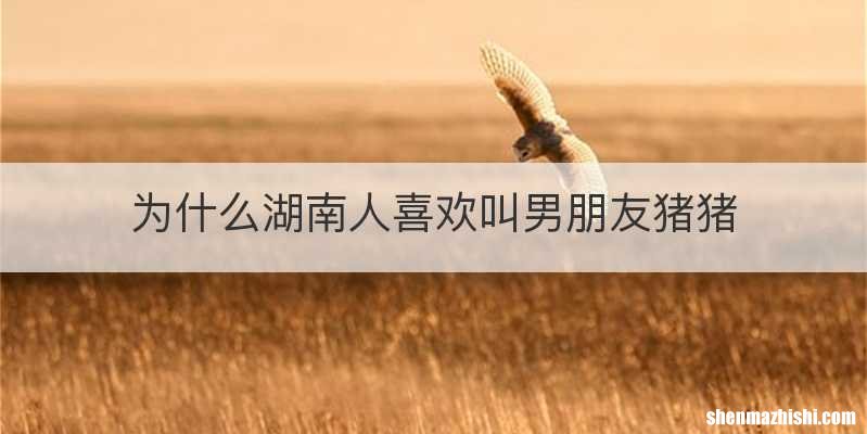 为什么湖南人喜欢叫男朋友猪猪