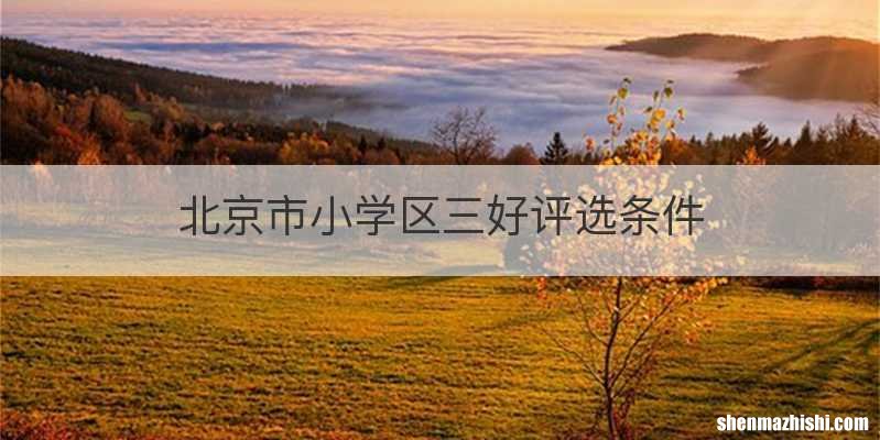 北京市小学区三好评选条件