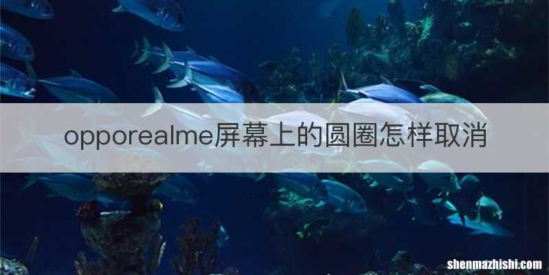 opporealme屏幕上的圆圈怎样取消