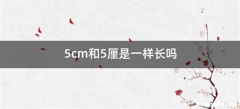5cm和5厘是一样长吗