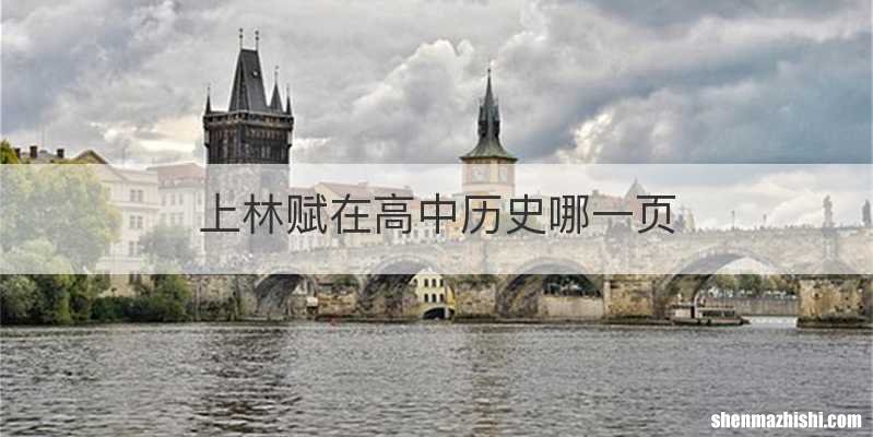 上林赋在高中历史哪一页