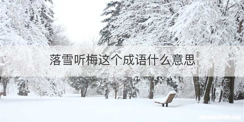 落雪听梅这个成语什么意思