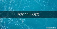 期货110什么意思