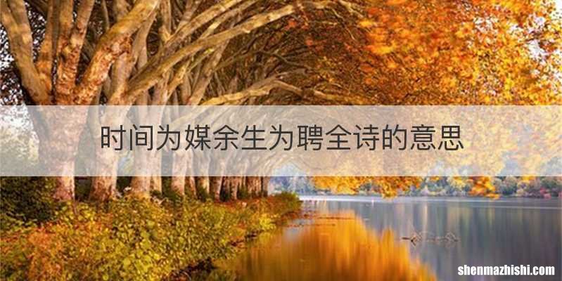 时间为媒余生为聘全诗的意思