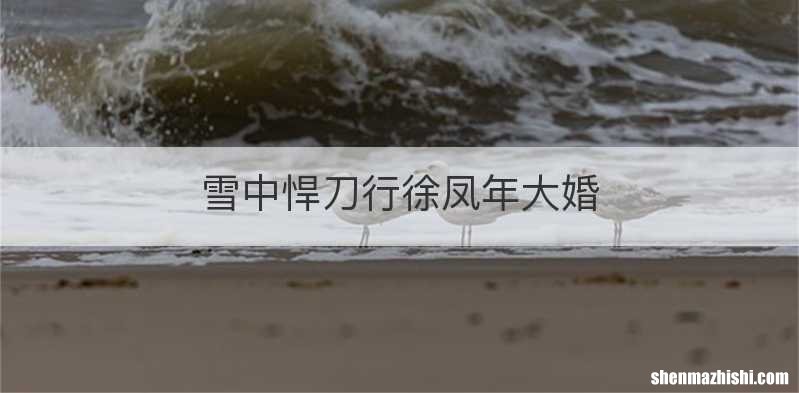 雪中悍刀行徐凤年大婚