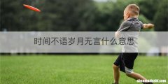时间不语岁月无言什么意思