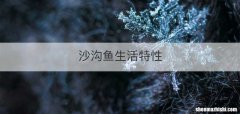 沙沟鱼生活特性