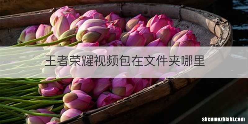 王者荣耀视频包在文件夹哪里