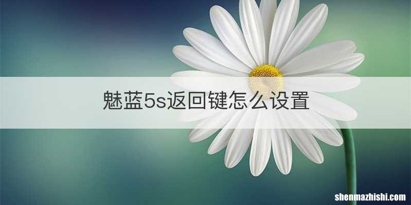 魅蓝5s返回键怎么设置