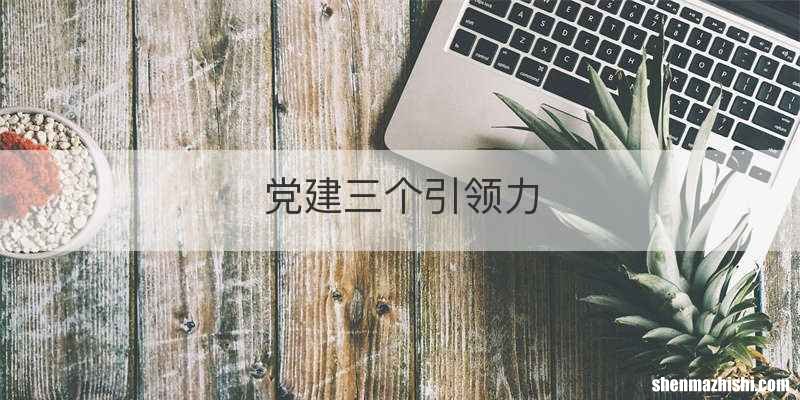 党建三个引领力