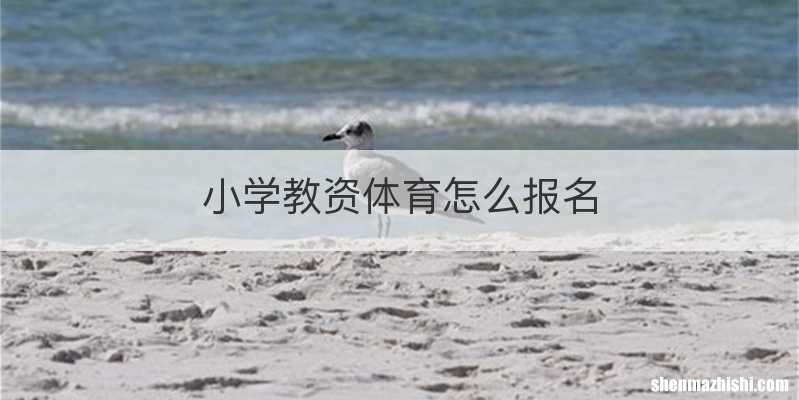 小学教资体育怎么报名