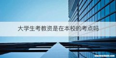大学生考教资是在本校的考点吗