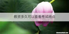 教资多久可以查看考试地点