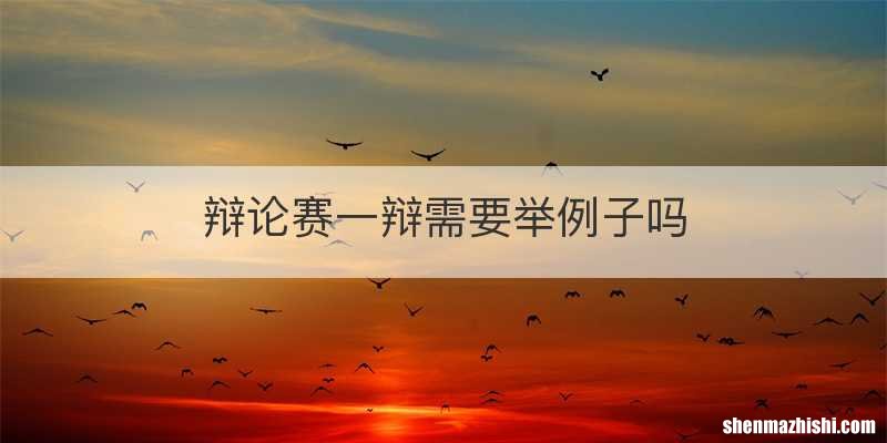 辩论赛一辩需要举例子吗