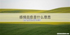 感情自愈是什么意思