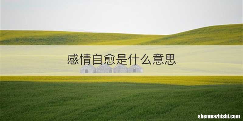 感情自愈是什么意思