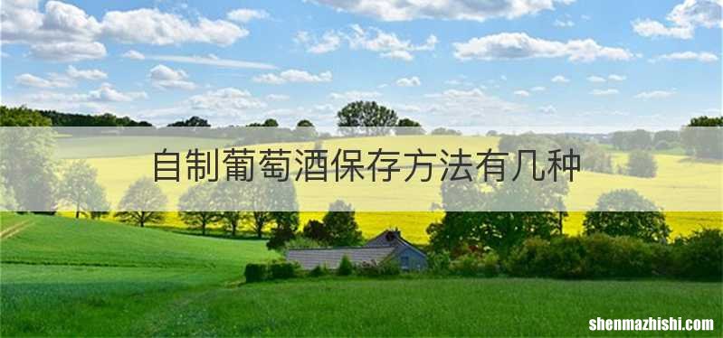 自制葡萄酒保存方法有几种
