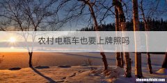 农村电瓶车也要上牌照吗