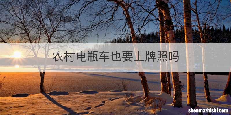 农村电瓶车也要上牌照吗
