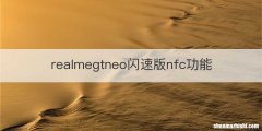 realmegtneo闪速版nfc功能