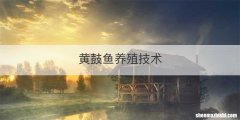 黄鼓鱼养殖技术