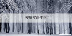 安庆实验中学