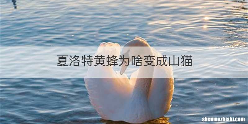 夏洛特黄蜂为啥变成山猫