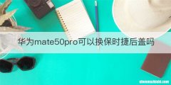 华为mate50pro可以换保时捷后盖吗