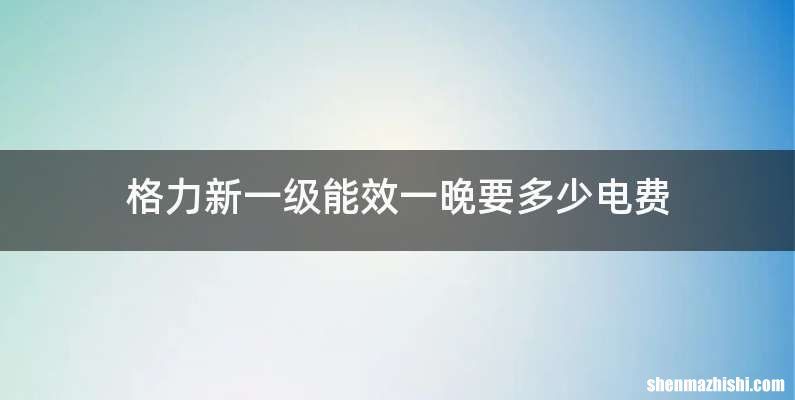 格力新一级能效一晚要多少电费