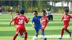 足球数据公司运营模式