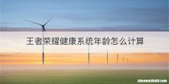 王者荣耀健康系统年龄怎么计算