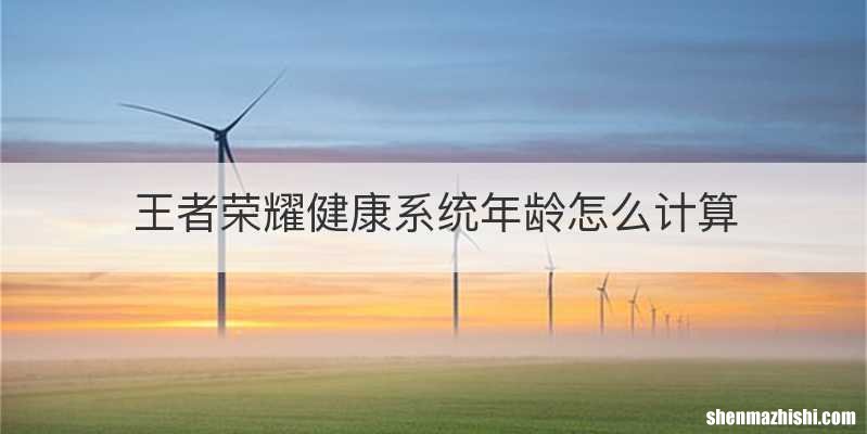 王者荣耀健康系统年龄怎么计算