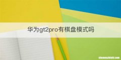 华为gt2pro有棋盘模式吗