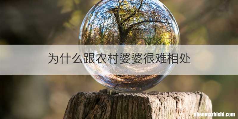 为什么跟农村婆婆很难相处