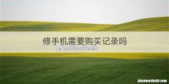 修手机需要购买记录吗