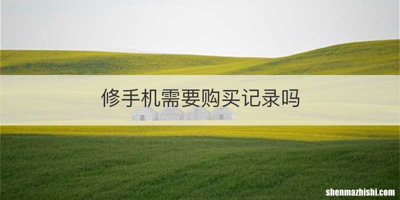 修手机需要购买记录吗