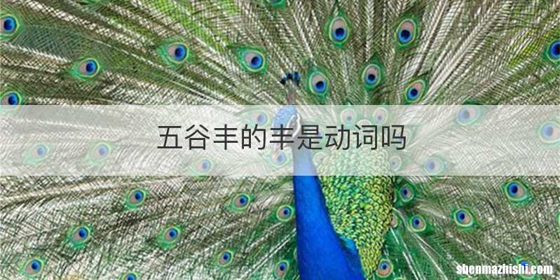 五谷丰的丰是动词吗