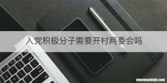 入党积极分子需要开村两委会吗