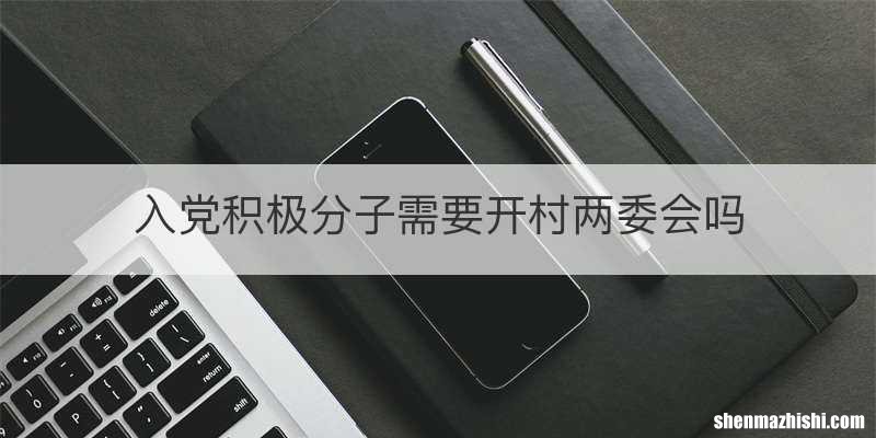 入党积极分子需要开村两委会吗