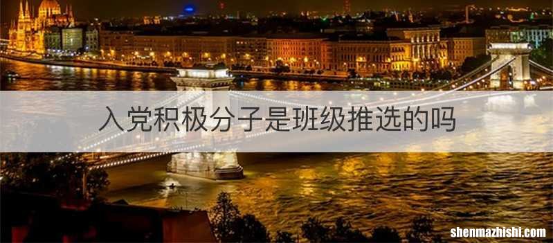 入党积极分子是班级推选的吗