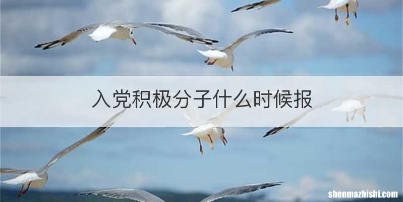 入党积极分子什么时候报