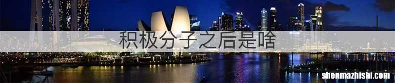 积极分子之后是啥