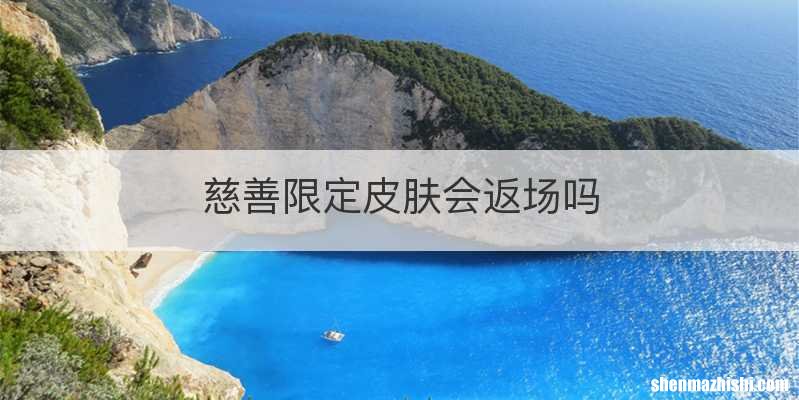 慈善限定皮肤会返场吗