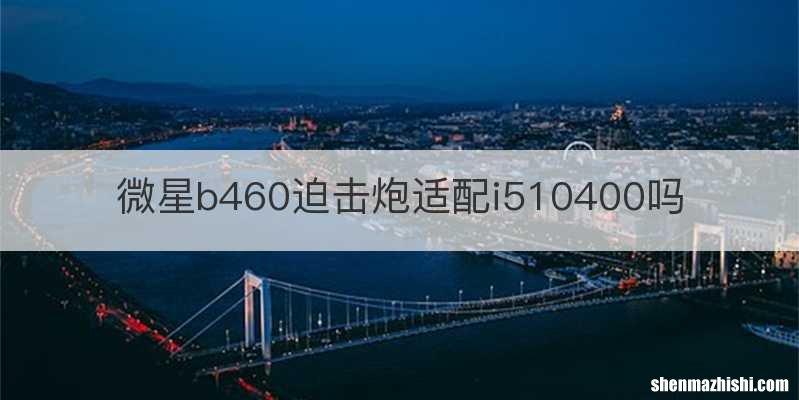 微星b460迫击炮适配i510400吗