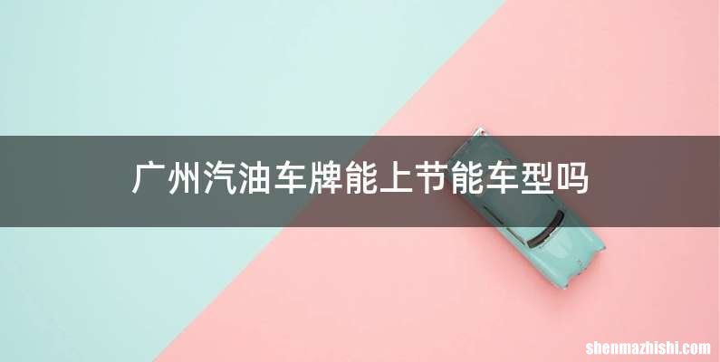 广州汽油车牌能上节能车型吗