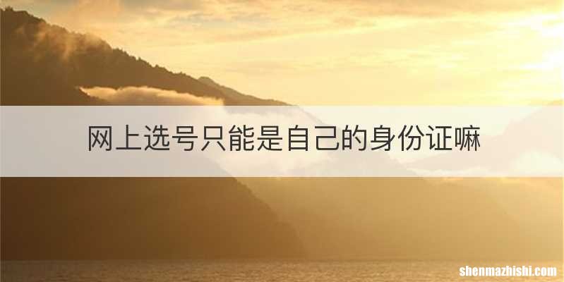 网上选号只能是自己的身份证嘛