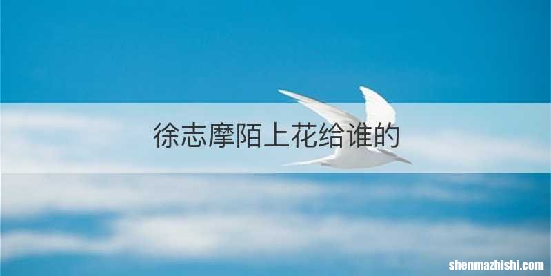 徐志摩陌上花给谁的