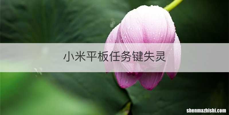 小米平板任务键失灵