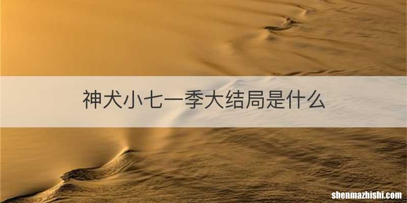 神犬小七一季大结局是什么
