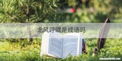 北风呼啸是成语吗